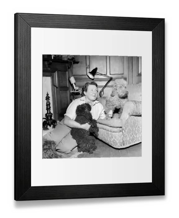Framed Print : Mrs. Moss seen here with her dogs. 1954 A145b-001