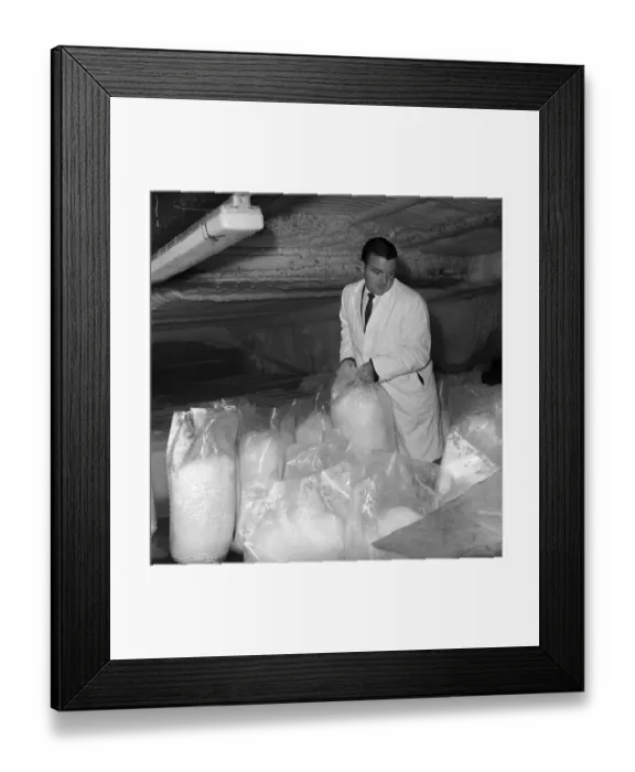Framed Print : Ice Factory: General scene at a London factory which manufacture ice