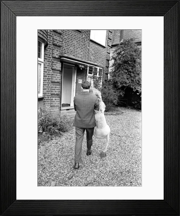 Framed Print : Terry Hall with Lenny the lion seen here at home. 1960 A1226-010 Framed Print : Terry Hall with Lenny the lion seen here at home. 1960 A1226-010