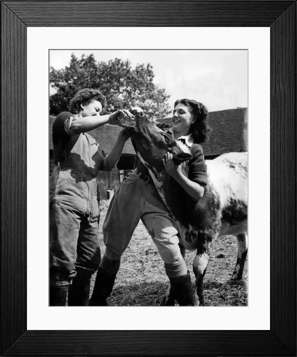 Framed Print : There are a number of girls taking the 12 months course in farming Framed Print : There are a number of girls taking the 12 months course in farming