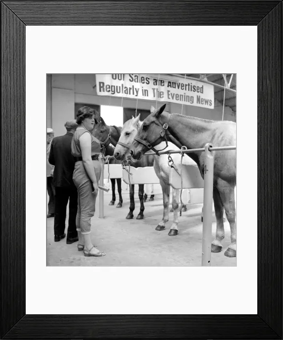 Framed Print : General scene at the Brixton horse auctions. 1961 C48-006 Framed Print : General scene at the Brixton horse auctions. 1961 C48-006