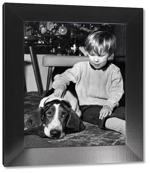 Young boy at home playing his pet Basset hound dog. December 1971 P007449
