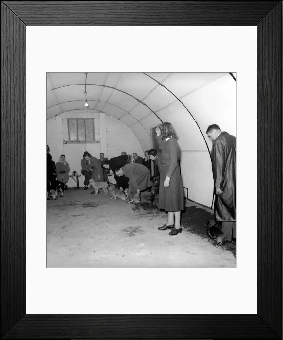 Framed Print : Dog trainer: Barbara: Woodhouse. April 1958 A677-004 Framed Print : Dog trainer: Barbara: Woodhouse. April 1958 A677-004