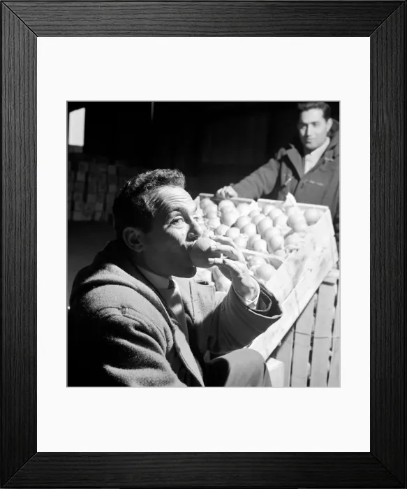 Framed Print : Food: Fruit: Oranges: Orange testers at Surrey Docks. March 1958 A658-003 Framed Print : Food: Fruit: Oranges: Orange testers at Surrey Docks. March 1958 A658-003