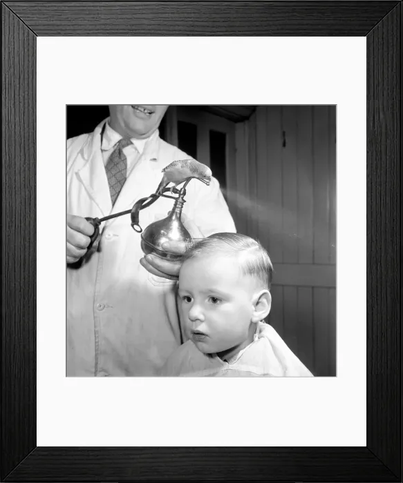 Framed Print : Barber Shop Humour: Mr. Jim Reid with Billy the Budgie seen here at the barber shop