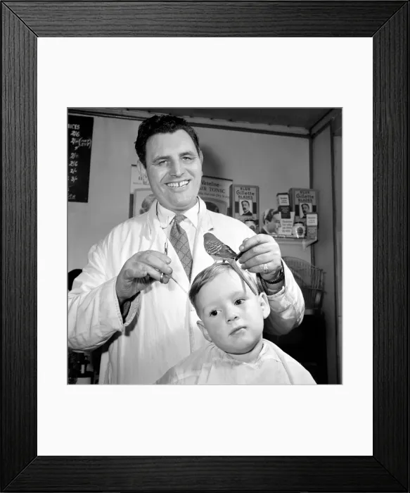 Framed Print : Barber Shop Humour: Mr. Jim Reid with Billy the Budgie seen here at the barber shop Framed Print : Barber Shop Humour: Mr. Jim Reid with Billy the Budgie seen here at the barber shop