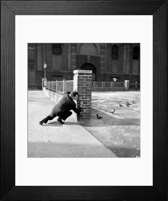Framed Print : London pigeon catcher. January 1954 A157-006