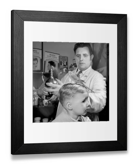 Framed Print : Barber Shop Humour: Mr. Jim Reid with Billy the Budgie seen here at the barber shop