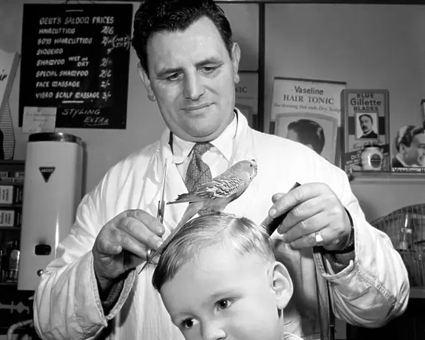 Barber Shop Humour: Mr. Jim Reid with Billy the Budgie seen here at the barber shop