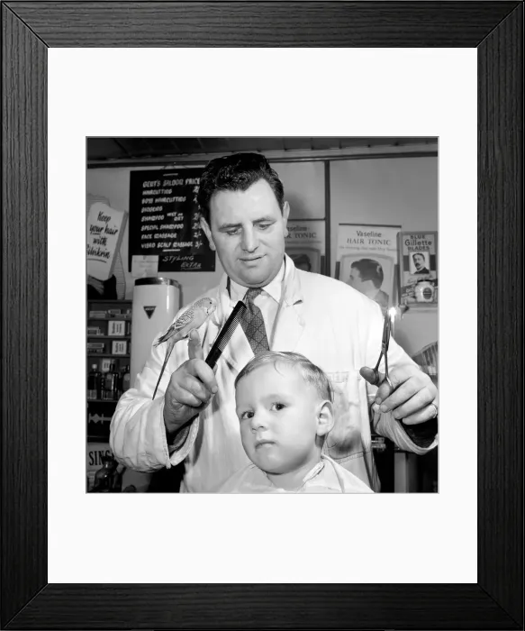Framed Print : Barber Shop Humour: Mr. Jim Reid with Billy the Budgie seen here at the barber shop
