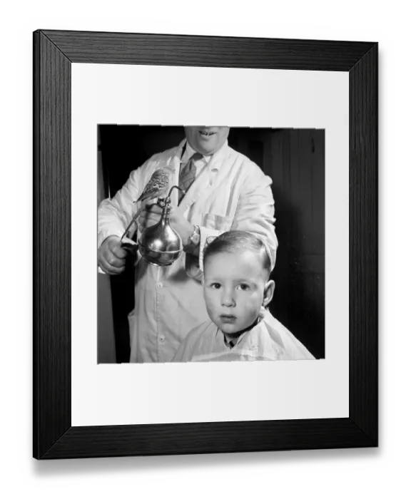 Framed Print : Barber Shop Humour: Mr. Jim Reid with Billy the Budgie seen here at the barber shop