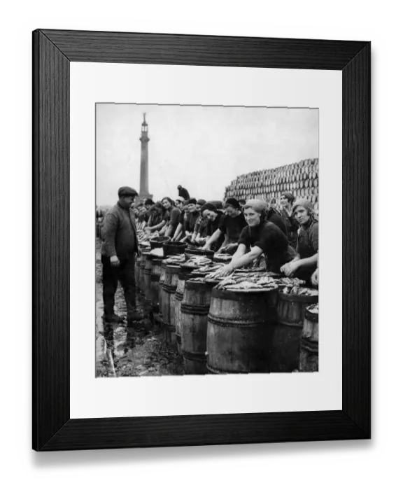 Framed Print : Fishing Industry. Yarmouth fisherwomen gutting herring. October 1936 P002014 Framed Print : Fishing Industry. Yarmouth fisherwomen gutting herring. October 1936 P002014