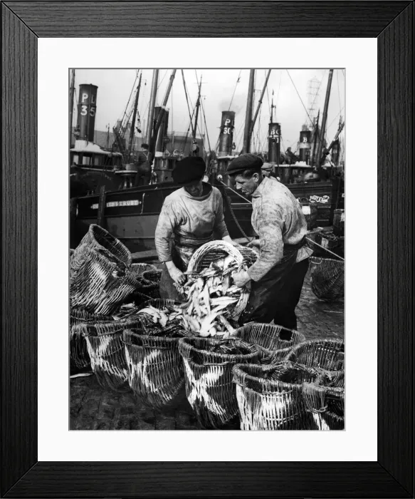 Framed Print : The herrings fleet lands its catch at Yarmouth docks. October 1936 Framed Print : The herrings fleet lands its catch at Yarmouth docks. October 1936