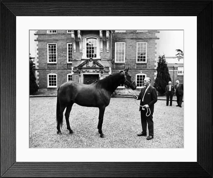 Framed Print : Mr. Noel Simpson with Old Cardy, harness racer Cardigan. June 1969