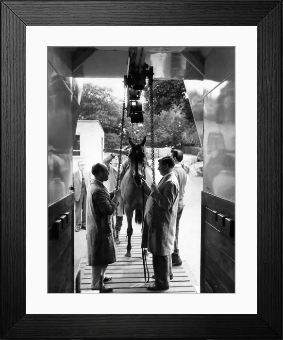 Framed Print : The interior of the new horse ambulance. August 1963 Framed Print : The interior of the new horse ambulance. August 1963