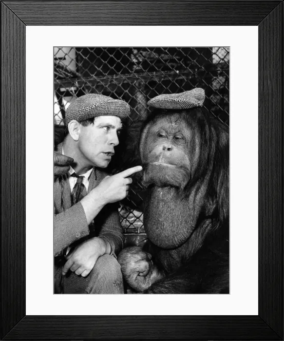Framed Print : The day Wisdom visited Mr. Jiggs it was a question of: Framed Print : The day Wisdom visited Mr. Jiggs it was a question of: