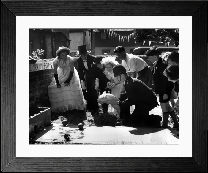 Framed Print : A piglet given by a farmer at Silsoe, Bedfordshire as a prize to be bowled for by
