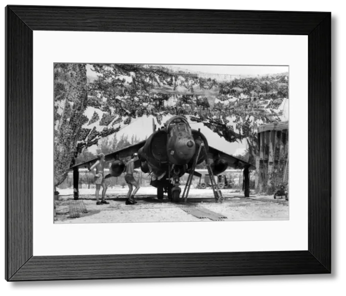 Framed Print : A British RAF Harrier jet is camouflaged and ready for action, near Belize City, Belize Framed Print : A British RAF Harrier jet is camouflaged and ready for action, near Belize City, Belize