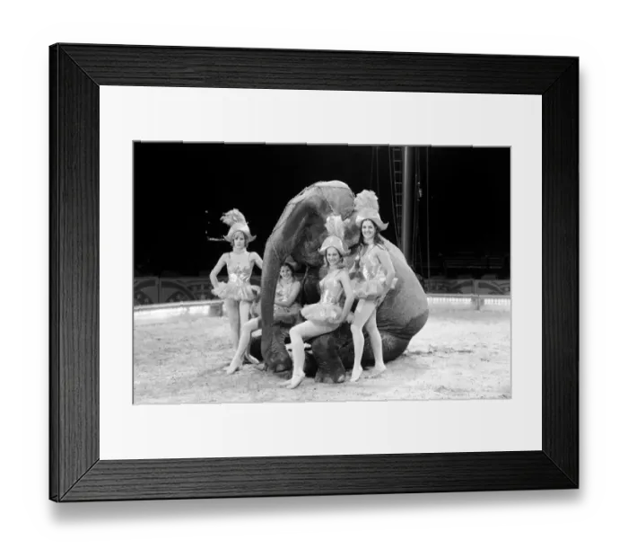 Framed Print : Travel by Jumbo'is the motto of the four Smart Sisters who are busy training Framed Print : Travel by Jumbo'is the motto of the four Smart Sisters who are busy training