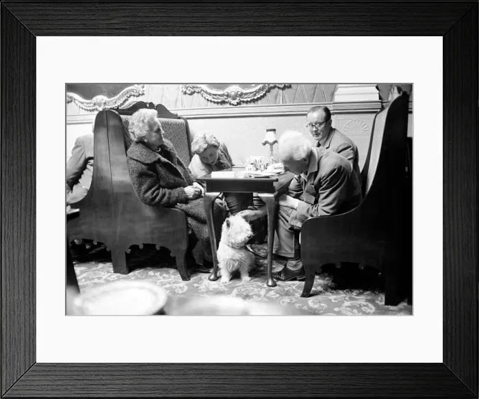 Framed Print : Dog scenes in Brighton. Scenes of people with their dogs in Brighton Framed Print : Dog scenes in Brighton. Scenes of people with their dogs in Brighton