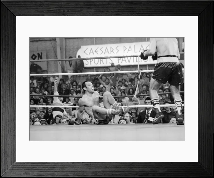 Framed Print : Alan Minter seen here just after being knocked to the canvas during his bout against Vito Framed Print : Alan Minter seen here just after being knocked to the canvas during his bout against Vito