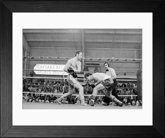 Framed Print : Alan Minter seen here in during his bout against Vito Antuofermo at Caesars Palace Framed Print : Alan Minter seen here in during his bout against Vito Antuofermo at Caesars Palace