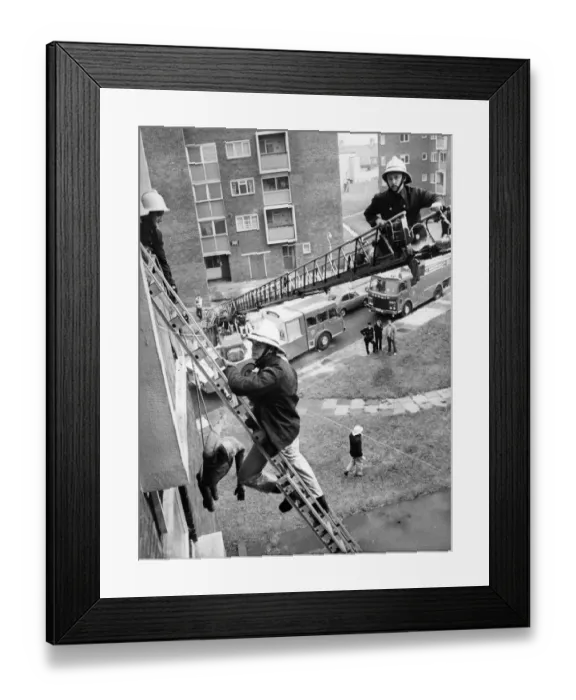 Framed Print : Fire rescue demonstration at Walker - Firefighter Chris Foster (on turntable ladder Framed Print : Fire rescue demonstration at Walker - Firefighter Chris Foster (on turntable ladder