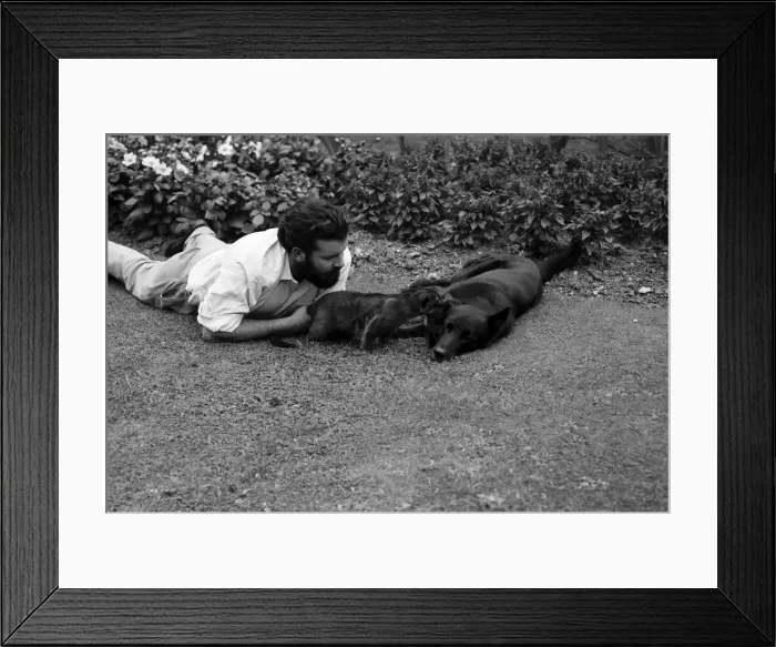 Framed Print : TV Zoologist Grahame Dangerfield. 1963 A978-002 Framed Print : TV Zoologist Grahame Dangerfield. 1963 A978-002