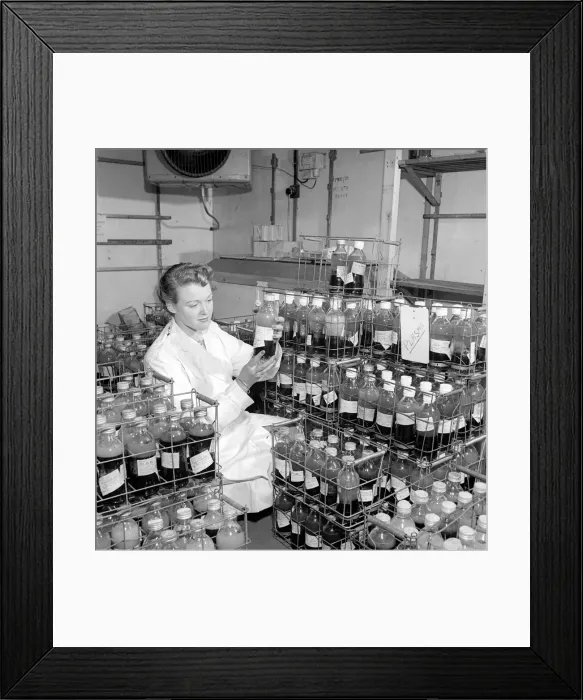 Framed Print : Medical: Blood Transfusions: Inspection at a blood bank. 1954 A2-002 Framed Print : Medical: Blood Transfusions: Inspection at a blood bank. 1954 A2-002