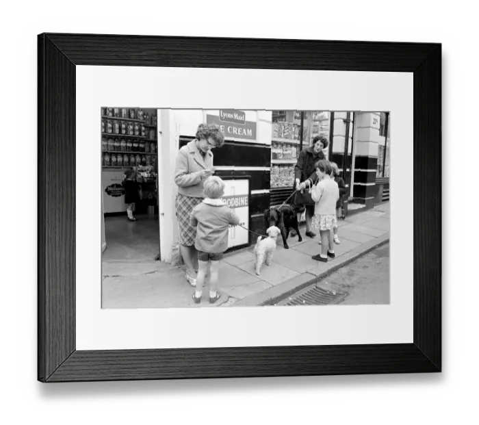 Framed Print : Dog scenes in Brighton. Scenes of people out with their dogs in Brighton