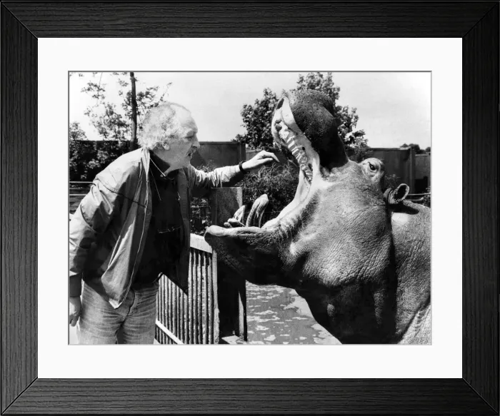 Framed Print : Where does it Hurt? You ve got to hand it to David Taylor. He has plenty of nerve Framed Print : Where does it Hurt? You ve got to hand it to David Taylor. He has plenty of nerve