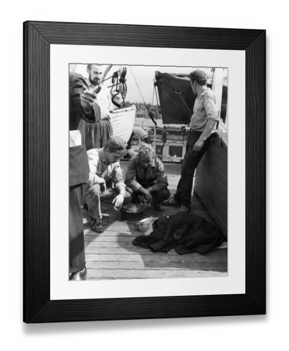 Framed Print : Emergency Ward on Board a Ship: The atmosphere in the seamen