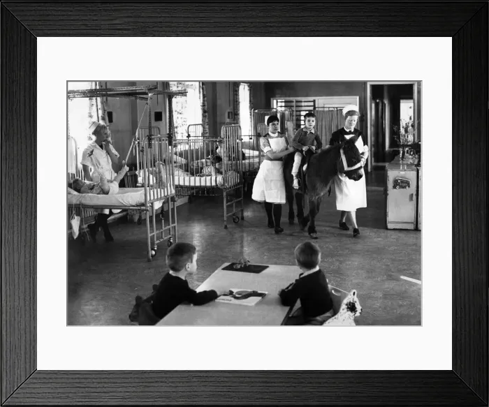 Framed Print : Hospitals: Pindy the donkey seen here in the childrens ward at Wakefield Hospital