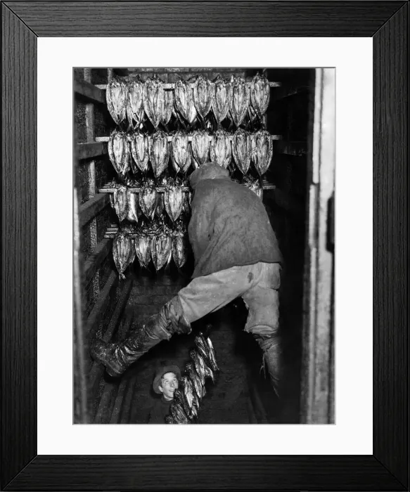 Framed Print : Fishing Industry: Herring. Kippers being smoked. Februrary 1986 P000705 Framed Print : Fishing Industry: Herring. Kippers being smoked. Februrary 1986 P000705