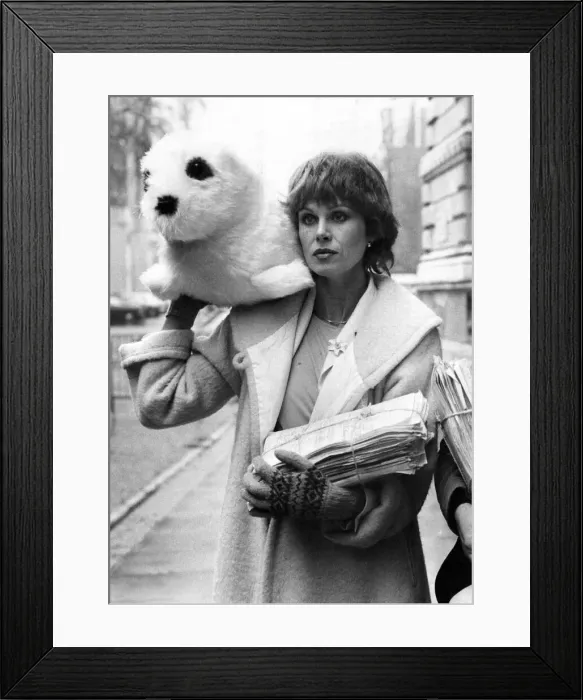 Framed Print : Seal Protest Grows: Public outrage at the heartless methods used in killing baby seals