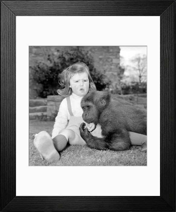 Framed Print : At the ripe old age of 2 years, tiny Caroline Smith, daughter of Ken Smith Superintendant Framed Print : At the ripe old age of 2 years, tiny Caroline Smith, daughter of Ken Smith Superintendant
