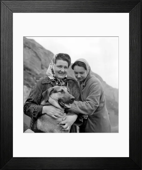 Framed Print : Two women adopt an abandon Alsatian dog. October 1961 Framed Print : Two women adopt an abandon Alsatian dog. October 1961
