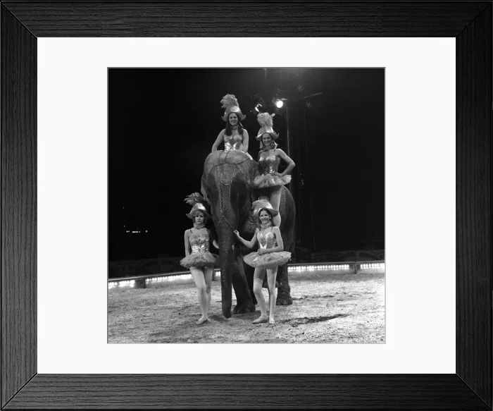 Framed Print : Travel by Jumbo'is the motto of the four Smart Sisters who are busy training Framed Print : Travel by Jumbo'is the motto of the four Smart Sisters who are busy training