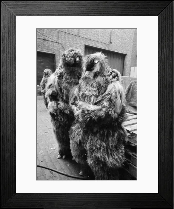 Framed Print : The Yeti Mark two - seven foot tall monsters with light eyes, electrical nervous system Framed Print : The Yeti Mark two - seven foot tall monsters with light eyes, electrical nervous system