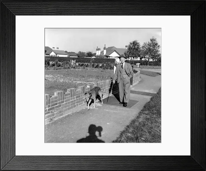 Framed Print : Mans best friend: Man walking a dog. Circa 1954 Framed Print : Mans best friend: Man walking a dog. Circa 1954