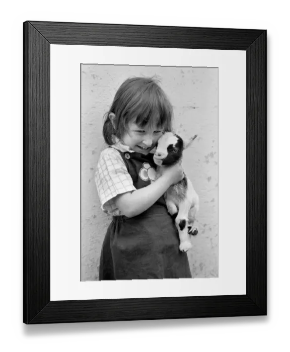 Framed Print : Child holding a baby goat in the farmyard section at Crystal Palace childrenOs Zoo Framed Print : Child holding a baby goat in the farmyard section at Crystal Palace childrenOs Zoo