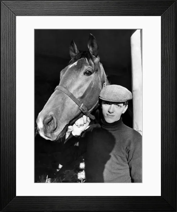 Framed Print : Vaguely Noble photographed with his lad Soapy Wild, at Newmarket, today