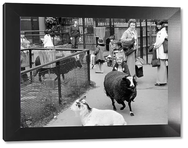 The farmyard section at Crystal Palace childrenOs Zoo. May 1975