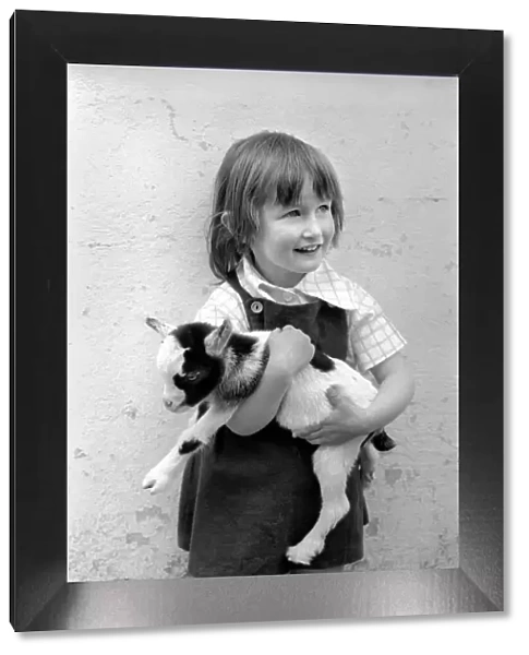 Child holding a baby goat in the farmyard section at Crystal Palace childrenOs Zoo