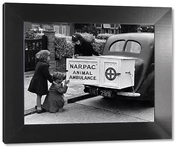 A New type of animal ambulance which is a big cabinet fitted on the back of any motor car