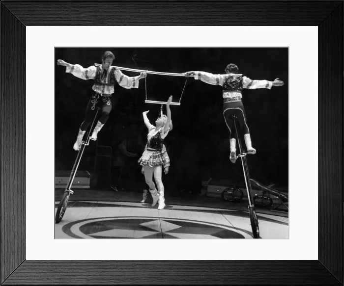 Framed Print : Circus performers on unicycles lifting a woman up between them as they ride around her Framed Print : Circus performers on unicycles lifting a woman up between them as they ride around her