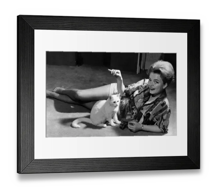 Framed Print : Actress Erica Rogers seen with her cat Piewacket at her Hampstead flat Framed Print : Actress Erica Rogers seen with her cat Piewacket at her Hampstead flat