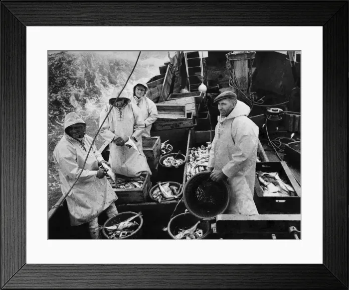 Framed Print : Fishing Industry. Skipper Pashhby with his crew aboard the Elizabeth
