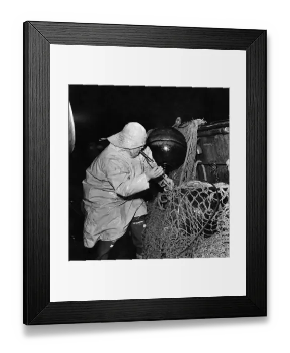Framed Print : With a speed and precision that might have impressed the Royale School of Needlework
