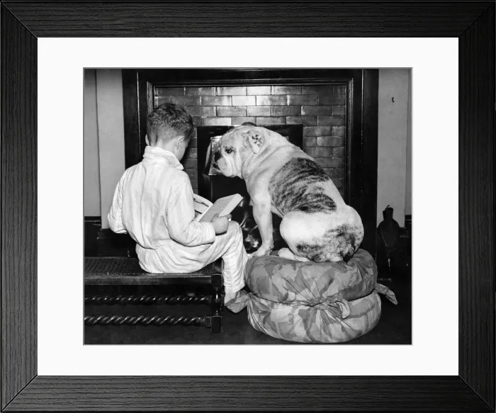Framed Print : That bed time story'boy and his dog read a bedtime story beside